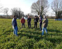 Les agriculteurs du groupe dans une parcelle de méteil riche en légumineuses