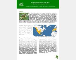 Vignette du document : image et texte