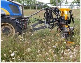 Alternatives au glyphosate pour l'entretien sous le rang des noyers