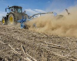 Gestion des graminées avant un semis d'automne - ARVALIS