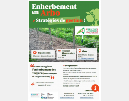 stratégies gestion enherbement