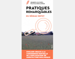 Evolution du système avec la conversion partielle en AB