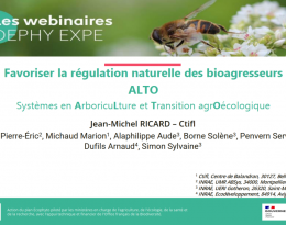 Image présentation ALTO