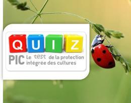 Quizz auxiliaires1