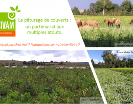 guide paturage couvert 