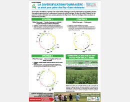 Poster 2022 Diversification fourragere
