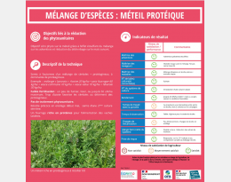 levier mélange d'espèces étouffantes : méteil protéique