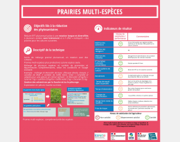 levier cultures fourragères pluriannuelles : prairies multi-espèces