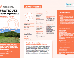 Pratiques remarquables sorghos fourragers 2020