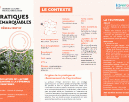 ASSOCIATION DE L’AVOINE  BYZANTINE À LA FÉVEROLE  DE PRINTEMPS