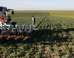 Quentin D dans son champ