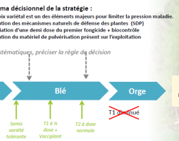 lien vers fiche biocontrôle