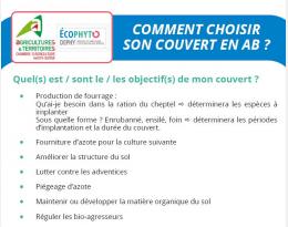 couverts Végétaux - Entonnoir décisionnel