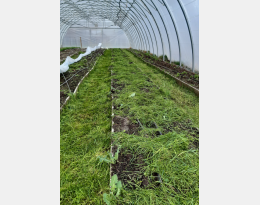 Fertilisation des planches avec l'herbe des passe-pieds