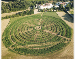 Unité expérimentale INRAE de Gotheron, dans la Drôme