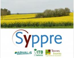 syppre newsletter