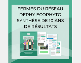 Synthèse DEPHY FERME 2023
