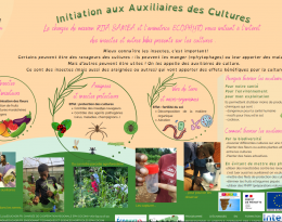 Posters réalisés par les élèves de CAP-ARC suite à leurs visites chez des agriculteurs DEPHY