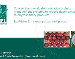 PPT ISHS Naoussa 2022