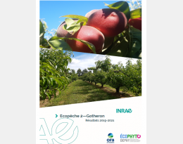 Brochure EcoPêche 2 INRAE Gotheron 