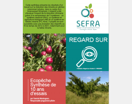 Regard sur - SEFRA - Bilan 10 années