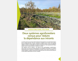 présentation de la conception des deux systèmes VERtiCAL