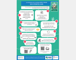 Point clés synthèse