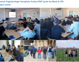 atelier de coconception de systèmes de cultures en BTS