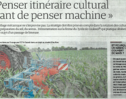 Désherbage mécanique : penser itinéraire cultural avant de penser machine
