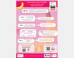Points-clés Synthèse Culture tropicale