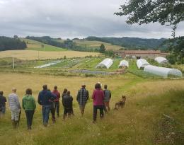 Etude de l'organisation du ferme maraichère bio du GIEE SMACC