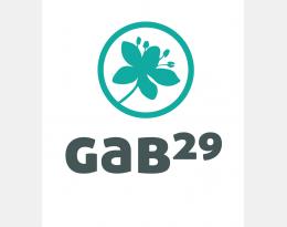 logo GAB 29 quadri