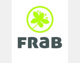 logo FRAB quadri