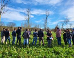 Bilan des couverts DEPHY 2023