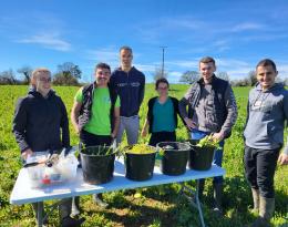 Poster restitution projet étudiant sur les couverts végétaux