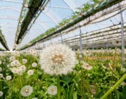 Fiche focus bilan de campagne