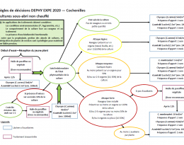 Règle de décisions cochenilles