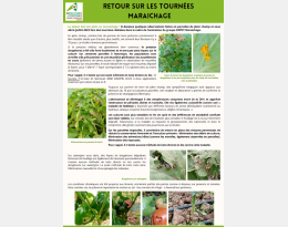 Photo du compte-rendu