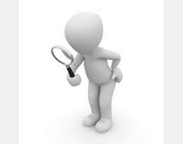 Outil d'aide à l'observation FRAISE