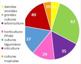 cepp par filières déc 23