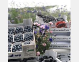 Entre progrès et projet l'EARL de la Chapelle avance