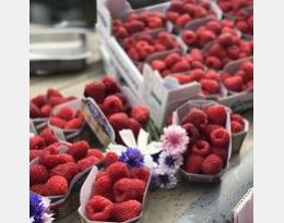 bandes fleuries : du service au disservice..