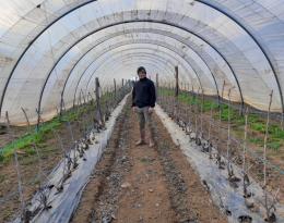 Une installation grâce au projet et communications DEPHY