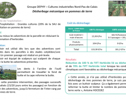 Désherbage mécanique pomme de terre