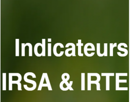IRSA