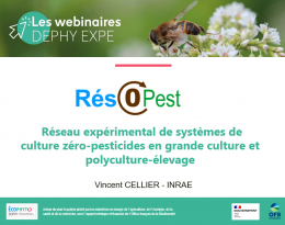Webinaire du 19 mai 2022