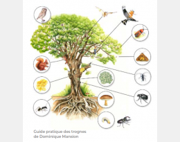 Guide pratique des trognes de Dominique Mansion