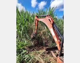 Dessouchage des fataques avec la mini-pelle et son godet