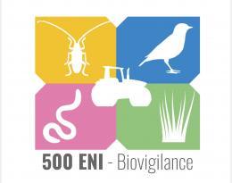 500 ENI logo