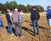 discussion sur la propreté après récolte du maïs en bio au sein du groupe